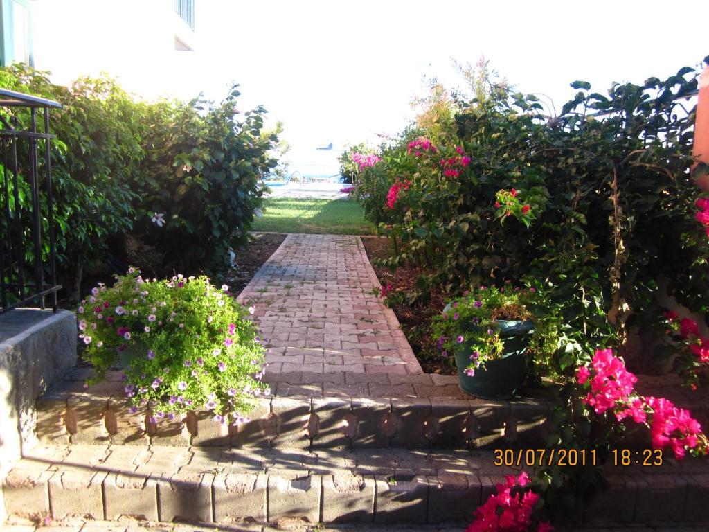 Gerasimoula Studios Trapezaki  Oda fotoğraf